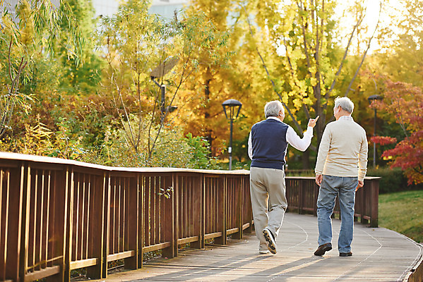 포토 JPG 주간 전신 나무 공원 할아버지 노년 단풍 취미 야외 두명 뒷모습 친구 실버라이프 걷기 우정 산책 한국인 가을 은퇴 70대 노인남자만 오팔세대 액티브시니어 국내포토 자연요소 식물 라이프스타일 계절 공공시설 남자 뷰포인트 잎 관계 모션 휴식 사람 동양인 성인 세대 남자만 노인만 파일형식