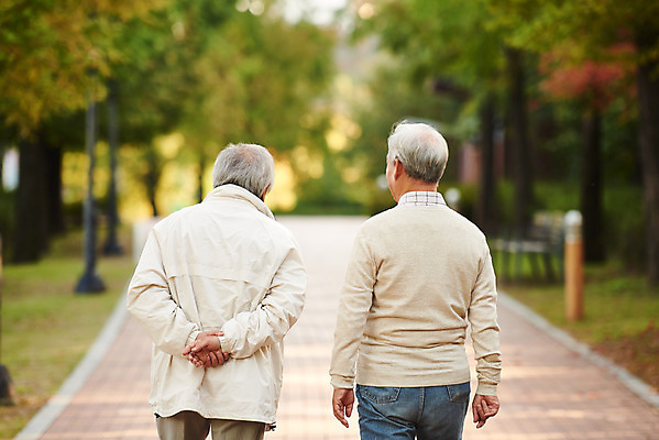 포토 JPG 주간 나무 공원 할아버지 노년 단풍 대화 상반신 취미 야외 두명 뒷모습 친구 실버라이프 걷기 우정 산책 한국인 가을 은퇴 70대 노인남자만 오팔세대 액티브시니어 국내포토 자연요소 식물 라이프스타일 계절 공공시설 남자 뷰포인트 잎 관계 모션 휴식 말하기 사람 동양인 성인 세대 남자만 노인만 파일형식