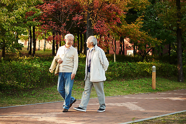 포토 JPG 주간 전신 나무 공원 할아버지 노년 단풍 대화 취미 야외 두명 옆모습 친구 실버라이프 걷기 우정 산책 한국인 가을 은퇴 70대 노인남자만 오팔세대 액티브시니어 국내포토 자연요소 식물 라이프스타일 계절 공공시설 남자 뷰포인트 잎 관계 모션 휴식 말하기 사람 동양인 성인 세대 남자만 노인만 파일형식