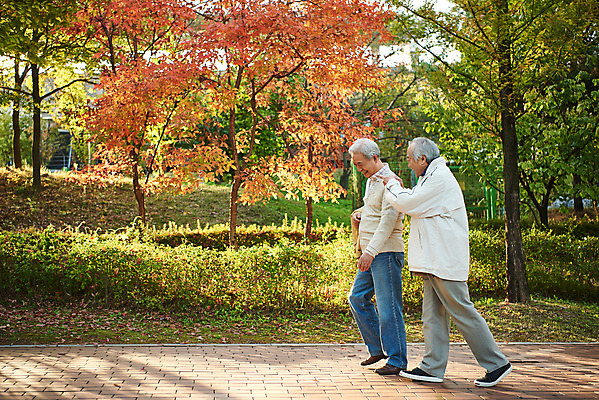 포토 JPG 주간 전신 나무 공원 할아버지 노년 단풍 대화 취미 야외 두명 옆모습 친구 실버라이프 걷기 우정 산책 한국인 가을 은퇴 70대 노인남자만 오팔세대 액티브시니어 국내포토 자연요소 식물 라이프스타일 계절 공공시설 남자 뷰포인트 잎 관계 모션 휴식 말하기 사람 동양인 성인 세대 남자만 노인만 파일형식