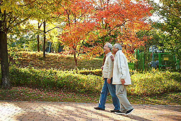 포토 JPG 주간 전신 나무 공원 할아버지 노년 단풍 대화 취미 야외 두명 옆모습 친구 실버라이프 걷기 우정 산책 한국인 가을 은퇴 70대 노인남자만 오팔세대 액티브시니어 국내포토 자연요소 식물 라이프스타일 계절 공공시설 남자 뷰포인트 잎 관계 모션 휴식 말하기 사람 동양인 성인 세대 남자만 노인만 파일형식