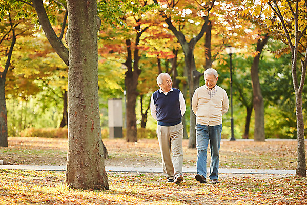 포토 JPG 주간 전신 나무 공원 할아버지 노년 단풍 대화 미소 웃음 취미 야외 두명 앞모습 친구 실버라이프 걷기 우정 산책 한국인 가을 은퇴 70대 노인남자만 국내포토 자연요소 식물 라이프스타일 계절 공공시설 남자 뷰포인트 잎 관계 모션 휴식 표정 말하기 사람 동양인 성인 남자만 노인만 파일형식