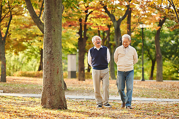 포토 JPG 주간 전신 나무 공원 할아버지 노년 단풍 대화 미소 웃음 취미 야외 두명 앞모습 친구 실버라이프 걷기 우정 산책 한국인 가을 은퇴 70대 노인남자만 국내포토 자연요소 식물 라이프스타일 계절 공공시설 남자 뷰포인트 잎 관계 모션 휴식 표정 말하기 사람 동양인 성인 남자만 노인만 파일형식