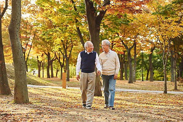 포토 JPG 주간 전신 나무 공원 할아버지 노년 단풍 대화 미소 웃음 취미 야외 두명 앞모습 친구 실버라이프 걷기 우정 산책 한국인 가을 은퇴 70대 노인남자만 국내포토 자연요소 식물 라이프스타일 계절 공공시설 남자 뷰포인트 잎 관계 모션 휴식 표정 말하기 사람 동양인 성인 남자만 노인만 파일형식