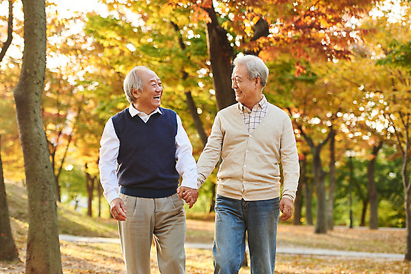 포토 JPG 주간 나무 공원 할아버지 노년 단풍 대화 미소 웃음 상반신 취미 야외 두명 앞모습 친구 실버라이프 걷기 우정 산책 한국인 가을 은퇴 70대 노인남자만 국내포토 자연요소 식물 라이프스타일 계절 공공시설 남자 뷰포인트 잎 관계 모션 휴식 표정 말하기 사람 동양인 성인 남자만 노인만 파일형식