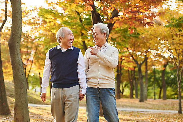 포토 JPG 주간 나무 공원 할아버지 노년 단풍 대화 미소 웃음 상반신 취미 야외 두명 앞모습 친구 실버라이프 걷기 우정 산책 한국인 가을 은퇴 70대 노인남자만 국내포토 자연요소 식물 라이프스타일 계절 공공시설 남자 뷰포인트 잎 관계 모션 휴식 표정 말하기 사람 동양인 성인 남자만 노인만 파일형식