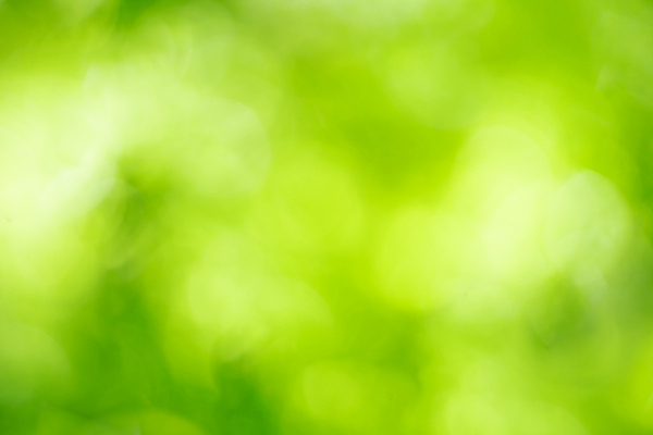 포토 JPG 해외이미지 백그라운드 자연 벽지 추상 전등 사람없음 초록색 해외202008 해외포토 컬러 무늬 조명 생태계 파일형식