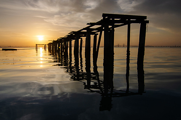 포토 JPG 해외이미지 실루엣 호수 바다 백그라운드 자연 아침 휴식 풍경 사람없음 야외 목재 물 태양 반사 일출 항구 장면 해외202008 해외포토 주간 자연요소 나무 컨셉 재료 교통시설 촬영기법 노을 생태계 파일형식