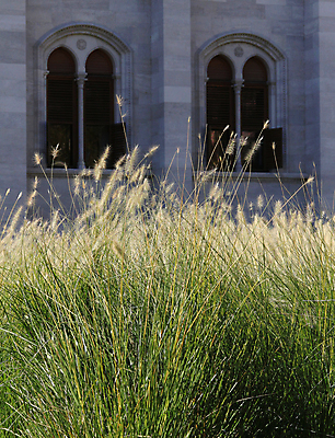 포토 JPG 해외이미지 식물 사람없음 해외202008 해외포토 파일형식