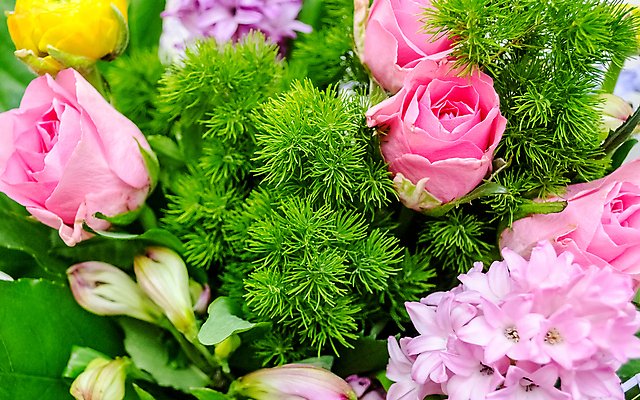 포토 JPG 해외이미지 식물 꽃 분홍색 꽃다발 백그라운드 꽃무늬 밭 오렌지 자연 선물 사람없음 초록색 여름 컬러풀 노란색 정원 보라색 봄 흰색 개화 그룹 닫기 혼합 다발 배열 데이지 고립 섞기 캐모마일 많음 해외202008 해외포토 계절 컬러 컨셉 무늬 농업 과일 모션 허브 생태계 파일형식