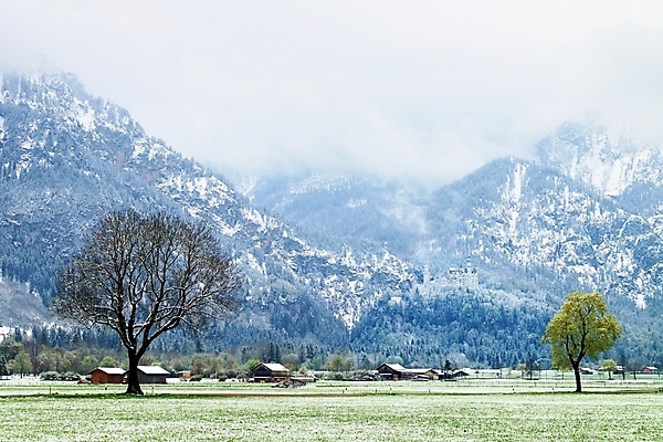 포토 JPG 해외이미지 나무 구름 길 여행 백그라운드 겨울 밭 자국 자연 하늘 아침 산 풍경 초원 사람없음 야외 가로 우주 계곡 냉동 봄 새벽 추위 안개 흰색 시골 언덕 서리 내추럴 해외202008 해외포토 주간 자연요소 식물 계절 컬러 농업 날씨 생태계 파일형식