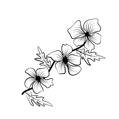 EPS 해외이미지 모양 식물 디자인 꽃잎 꽃 선 백그라운드 잎 꽃무늬 패턴 일러스트 미술 장식 정원 검은색 봄 흰색 심볼 오브젝트 윤곽 내추럴 고립 엘리먼트 스타일 해외202008 해외일러스트 계절 컬러 무늬 문화예술 파일형식 벡터