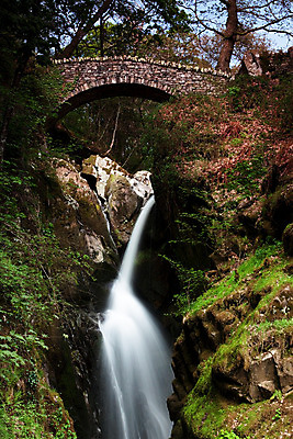포토 JPG 해외이미지 나무 영어 공원 유럽 자연 영국 잉글랜드 국립공원 풍경 사람없음 야외 물 힘 봄 폭포 흐름 가을 바위 내추럴 컴브리아주 해외202008 해외포토 자연요소 식물 문자 계절 공공시설 나라 컨셉 돌_바위 생태계 파일형식