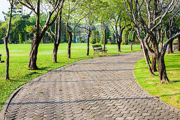 포토 JPG 해외이미지 나무 라이프스타일 공원 도로 스포츠 컨셉 의자 표면 아침 거리 건강 사람 사람없음 야외 목재 초록색 달리기 조깅 태양 일출 정원 검은색 바위 하트 신선 시간 연습 시멘트 칼로리 달리기선수 방법 콘크리트 화상 해외202008 해외포토 주간 자연요소 모양 식물 공공시설 길 컬러 가구 재료 교통시설 모션 생활 운동 노을 돌_바위 상처 육상선수 파일형식