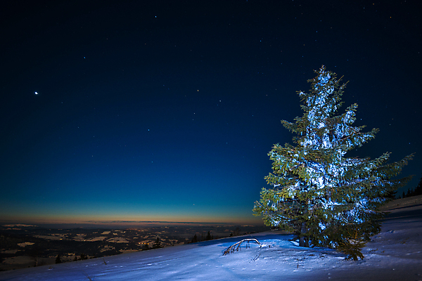 포토 JPG 해외이미지 나무 계절 별 과학 백그라운드 겨울 자연 하늘 휴가 불꽃 산 풍경 사람없음 파란색 우주 환경 검은색 어둠 꿈 안개 야간 숲 달빛 언덕 코스모스 서리 은하계 점성술 공상 마법 전나무 별빛 성운 내추럴 깊이 절정 가문비나무 해외202008 해외포토 자연요소 식물 꽃 컬러 불 날씨 빛 달 생태계 파일형식