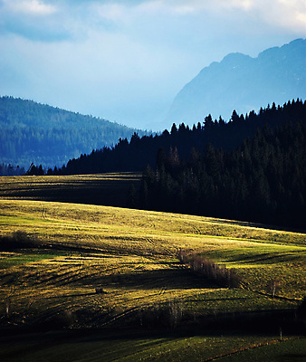 포토 JPG 해외이미지 나무 계절 여행 백그라운드 자연 하늘 휴가 산 풍경 초원 사람없음 야외 초록색 여름 햇빛 태양 일출 환경 일몰 봄 새벽 가을 시골 저녁 숲 땅 즐거움 장면 천국 내추럴 생태학 해외202008 해외포토 자연요소 식물 교육 감정 컬러 노을 야간 생태계 파일형식