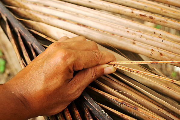 포토 JPG 해외이미지 나무 식물 백그라운드 잎 패턴 가정 자연 건조 손바닥 사람없음 목재 여름 갈색 환경 정원 공구 고리 당기기 닫기 옷걸이 자르기 빗자루 묘사 오브젝트 유기농 질감 청소부 수공예 내추럴 고립 옛날 핸드메이드 해외202008 해외포토 직업 손 웰빙 계절 컬러 무늬 재료 모션 도구 공예 청소도구 생태계 파일형식