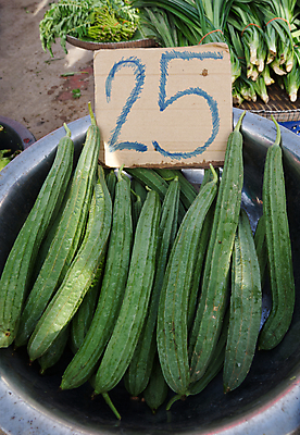 포토 JPG 해외이미지 식물 음식 농업 다이어트 채소 재료 태국 자연 건강 요리 사람없음 초록색 주방 정원 식사 수확 시골 신선 시장 맛 먹기 유기농 날것 섬유 비타민 내추럴 채식주의자 비건 맛있는 해외202008 해외포토 웰빙 산업 아시아 컬러 컨셉 모션 직물 생태계 채식 영양소 파일형식