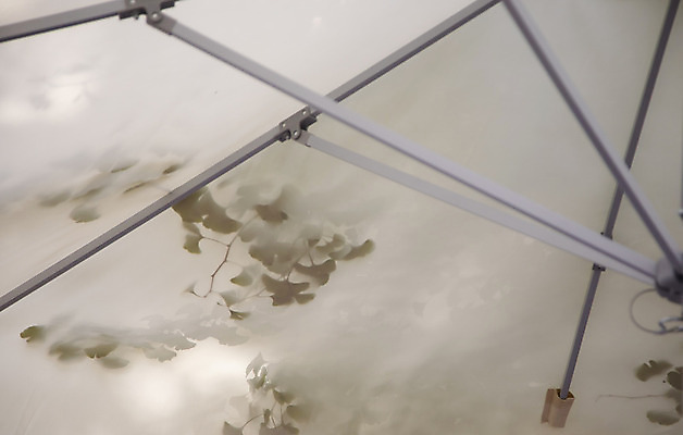 포토 JPG 해외이미지 나무 종이 문화 잎 패턴 우산 자연 하늘 나선형 사람없음 야외 장식 가로 빨간색 컬러풀 햇빛 일본 가을 직물 오픈 화려 그늘 질감 양산 가림막 구식 해외202008 해외포토 식물 계절 아시아 컬러 컨셉 무늬 태양 생태계 파일형식