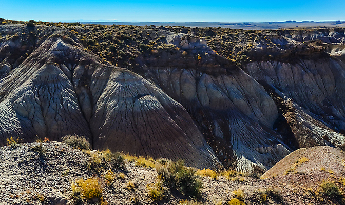 포토 JPG 해외이미지 공원 모래 백그라운드 자연 산 건조 국립공원 풍경 사람없음 빨간색 컬러풀 골짜기 계곡 미국 흙 사막 바위 그리기 숲 언덕 부식 지역 사암 애리조나 내추럴 전국 지질학 막 해외202008 해외포토 공공시설 교육 컬러 북아메리카 모션 돌_바위 생태계 파일형식