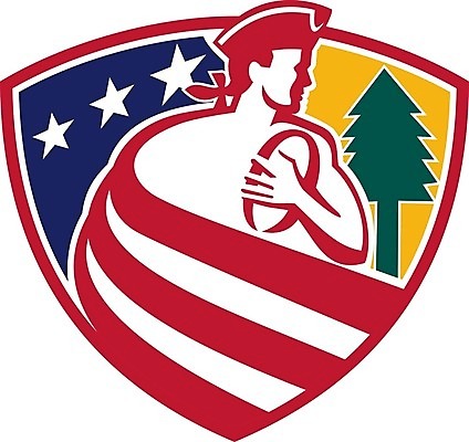 EPS 해외이미지 나무 캐릭터 스포츠 일러스트 그래픽 머리 럭비 미국 소나무 성조기 만화 심볼 사인 복고 신분 배지 방패 병정 애국심 혁명 마스코트 플레이어 해외202008 해외일러스트 일러캐릭터 식물 컨셉 북아메리카 신체부위 구기 국기 파일형식 벡터