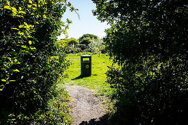포토 JPG 해외이미지 나무 공원 백그라운드 잎 자연 사람없음 야외 초록색 환경 금속 정원 재활용 쓰레기통 도시 캔 쓰레기 폐기물 컨테이너 플라스틱 거절 낭비 생태학 해외202008 해외포토 식물 공공시설 교육 산업 컬러 컨셉 재질 친환경 생태계 파일형식