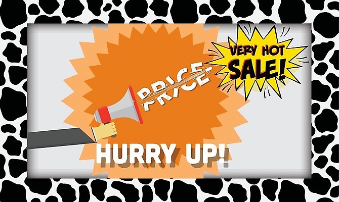 EPS 해외이미지 식물 디자인 꽃 실루엣 야생동물 파도 백그라운드 잎 꽃무늬 패턴 곡선 일러스트 조류 하늘 추상 미술 그래픽 장식 컬러풀 검은색 봄 수확 흰색 나뭇가지 신용카드 낙서 공작 두루마리 심볼 깃털 사인 그림 질감 복고 초대 고립 엘리먼트 스타일 국경 해외202008 해외일러스트 나무 동물 계절 선 바다 컬러 무늬 농업 문화예술 촬영기법 금융 파일형식 벡터