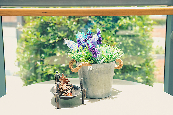 포토 JPG 해외이미지 식물 꽃 잎 창문 탁자 주택 사람없음 내부 장식 초록색 금속 정원 방 소나무 양동이 통조림 원뿔 리빙 내추럴 거짓 인공 해외202008 해외포토 도형 나무 컬러 가구 재질 건물 파일형식