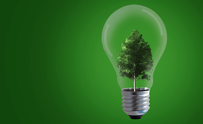 포토 JPG 해외이미지 나무 식물 디자인 지구 백그라운드 컨셉 전구 자연 추상 아이디어 건강 사람없음 초록색 빛 세계 글로벌 지구본 평화 우주 환경 에너지 성장 오염 보호 에코 생태계 내추럴 개발 돌봄 바이오 생태학 소셜 해외202008 우호적 해외포토 교육 컬러 무늬 모션 파일형식