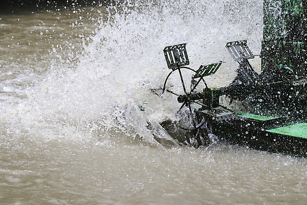 포토 JPG 해외이미지 공원 산업 호수 자연 표면 사람없음 야외 치료 초록색 물 강 환경 힘 기계 거품 장비 젖음 흐름 에너지 공구 시골 연못 신선 바퀴 떨어짐 운하 산소 낭비 내추럴 때리기 해외202008 채우기 해외포토 자연요소 공공시설 컬러 컨셉 의학 모션 도구 원소 생태계 파일형식