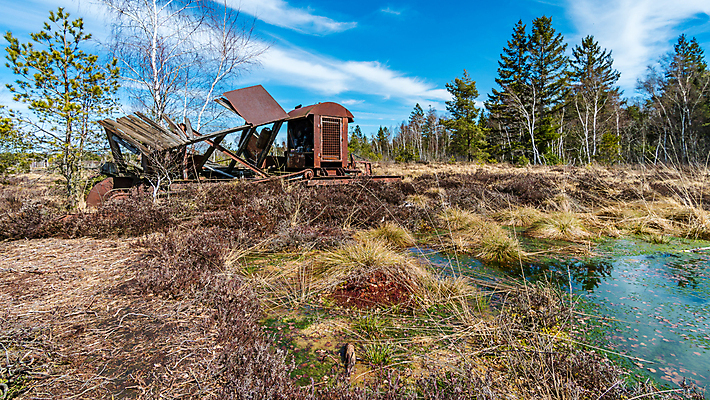 포토 JPG 해외이미지 산업 벽 잎 패턴 의자 건축양식 공장 자연 주택 병원 그림자 사람없음 내부 건물 금속 기계 손상 방 수확 골동품 덮개 죽음 오픈 사건 빌라 버리기 천장 복고 먼지 천국 고립 다락방 땅바닥 파멸 혼란 혼자 해외202008 해외포토 식물 건축물 건축 가구 컨셉 무늬 농업 공업 의학 모션 재질 바닥 뚜껑 생태계 파일형식 소멸