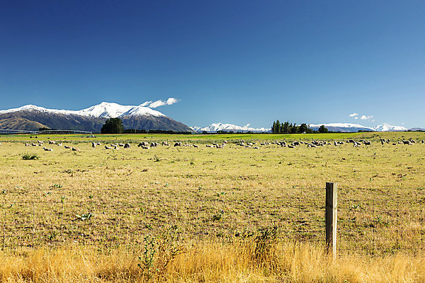 포토 JPG 해외이미지 나무 식물 동물 구름 공원 섬 여행 백그라운드 밭 자연 하늘 날씨 새로움 산 주택 파노라마 풍경 사람없음 야외 초록색 여름 파란색 울타리 우주 시골 숲 큼 남쪽 밭일 전국 해외202008 해외포토 자연요소 계절 공공시설 컬러 컨셉 농업 촬영기법 건물 담장 크기 방향 생태계 파일형식