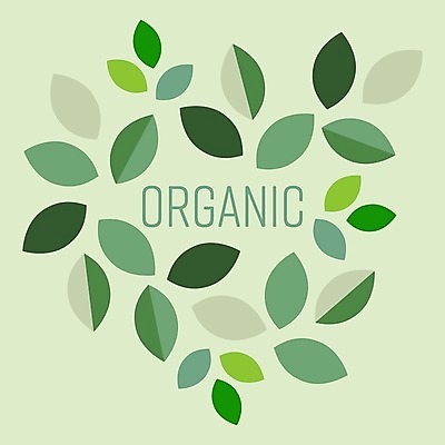 EPS 해외이미지 나무 식물 디자인 음식 백그라운드 컨셉 잎 꽃무늬 일러스트 벽지 추상 휴식 건강 미술 안전 그래픽 장식 초록색 꼬리표 라벨 우주 환경 정원 봄 가을 신선 화려 플랫 그늘 허브 심볼 사인 유기농 질감 윤곽 부드러움 내추럴 고립 바이오 엘리먼트 비건 해외202008 해외일러스트 웰빙 계절 꽃 컬러 무늬 문화예술 프레임 감각 채식주의자 파일형식 벡터