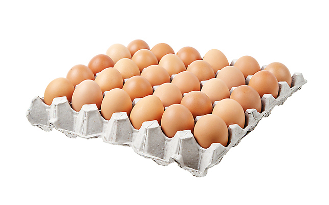 포토 JPG 해외이미지 종이 클리핑패스 음식 백그라운드 다이어트 재료 포장 교통시설 자연 부활절 쟁반 건강 요리 사람없음 상자 농장 갈색 계란 치킨 껍질 흰색 신선 그룹 보호 상품 컨테이너 먹기 유기농 날것 팩 패키지 수납 짐싸기 내추럴 판지 고립 생식 암탉 취급주의 해외202008 해외포토 웰빙 기념일 산업 컬러 교통 컨셉 농업 모션 경고 알 화장품 닭 암컷 시설 생태계 닭고기요리 파일형식