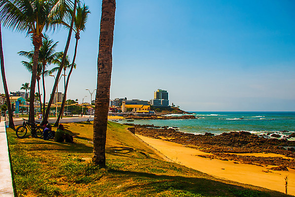 포토 JPG 해외이미지 나무 모래 파도 바다 여행 백그라운드 가족 자연 하늘 휴가 휴식 손바닥 풍경 사람없음 물 여름 태양 전원 만 남아메리카 모래언덕 장면 코코넛 브라질 석호 터키석 해외202008 해외포토 자연요소 식물 손 계절 컨셉 과일 관계 아메리카 전기에너지 보석 언덕 생태계 파일형식