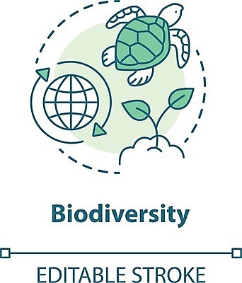 EPS 해외이미지 편집 일러스트 자연 사람없음 보호 생태계 바다거북 생태학 해외202008 해외일러스트 교육 컨셉 거북이 파일형식 벡터