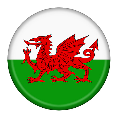 포토 JPG 해외이미지 아이콘 디자인 배너 유럽 여행 백그라운드 일러스트 영국 웨일즈 사람없음 그래픽 빨간색 초록색 세트 세계 웹 흰색 용 깃발 원형 큼 수집 심볼 사인 신분 배지 광택 북쪽 남쪽 애국심 고립 독립 왕국 전국 해외202008 해외포토 도형 나라 컬러 인터넷 크기 방향 파일형식