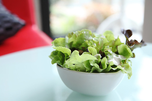 포토 JPG 해외이미지 라이프스타일 접시 음식 백그라운드 잎 다이어트 채소 재료 양파 치즈 건강 요리 사람없음 가로 빨간색 초록색 빛 식당 검은색 식사 저녁식사 샐러드 흰색 신선 체리 사발 상추 먹기 유기농 올리브 질감 베이컨 후추 설정 내추럴 점심식사 채식주의자 맛있는 해외202008 해외포토 식물 식기 웰빙 열매 컬러 과일 모션 유제품 돼지고기 생활 상점 사기그릇 향신료 채식 파일형식