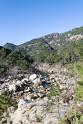 포토 JPG 해외이미지 나무 유럽 지구 음료 선 여행 백그라운드 겨울 자연 벽지 산 파노라마 풍경 사람없음 야외 초록색 물 여름 파란색 관광지 강 환경 봄 폭포 흐름 프랑스 바위 시골 신선 개울 숲 순수 엽서 내추럴 해외202008 해외포토 자연요소 식물 계절 나라 컬러 컨셉 촬영기법 돌_바위 편지 생태계 파일형식