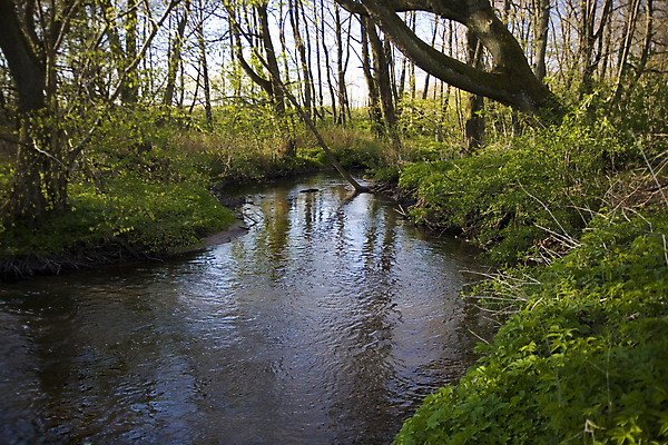 포토 JPG 해외이미지 나무 식물 호수 백그라운드 자연 하늘 풍경 사람없음 야외 초록색 물 파란색 강 컬러풀 반사 맑음 봄 숲 내추럴 처음 해외202008 해외포토 자연요소 계절 컬러 날씨 생태계 파일형식