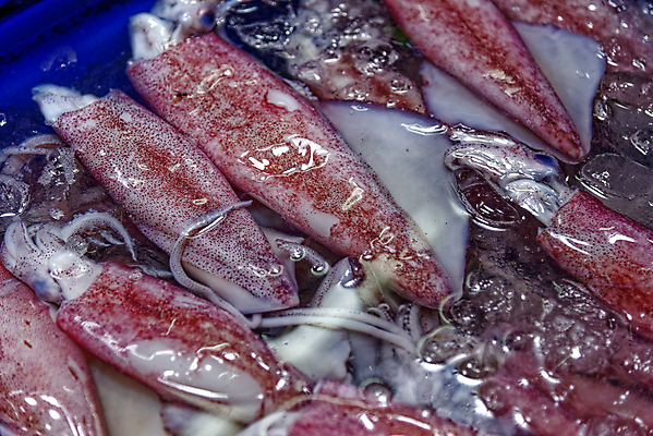 포토 JPG 해외이미지 동물 전통 아시아 음식 바다 다이어트 재료 태국 자연 건강 육류 어류 요리 동양인 사람없음 물 주방 식당 얼음 식사 추위 흰색 신선 액체 시장 맛 먹기 해산물 오징어 유기농 날것 문어 점심식사 길거리음식 단백질 생식 소금물 맛있는 해외202008 해외포토 자연요소 웰빙 나라 컬러 컨셉 식재료 모션 연체동물 인종 상점 수중동물 생태계 영양소 파일형식