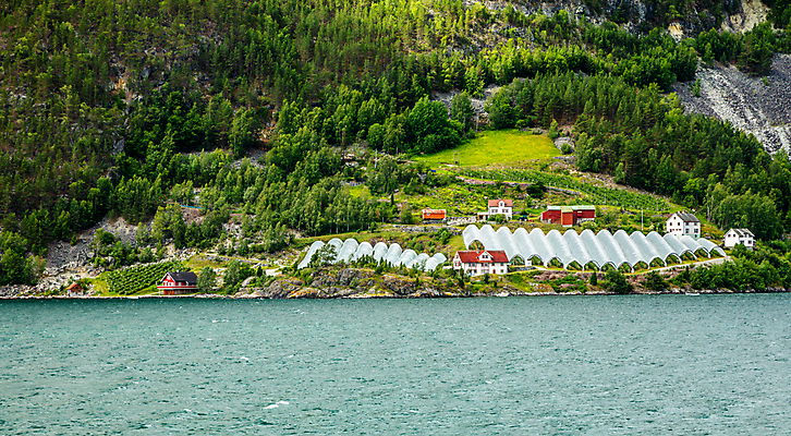 포토 JPG 해외이미지 식물 유럽 호수 음식 밭 농업 토마토 자연 산 주택 노르웨이 사람없음 야외 건물 초록색 물 농작물 농장 마을 환경 성장 시골 오두막 언덕 유기농 원예 밭일 생태학 스칸디나비아 온실 세련 해외202008 해외포토 자연요소 건축물 웰빙 교육 나라 산업 컬러 채소 취미 생태계 파일형식