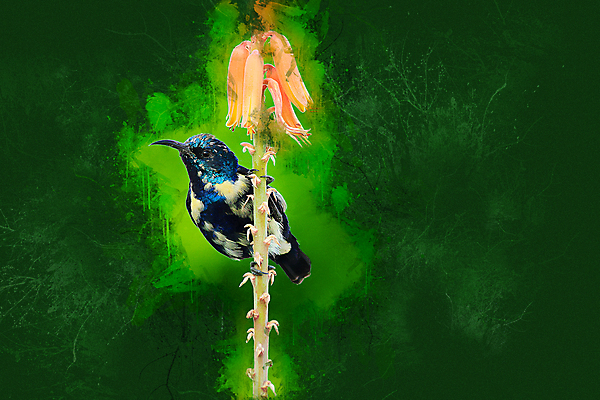 포토 JPG 해외이미지 식물 동물 꽃 야생동물 조류 미술 사람없음 야외 초록색 보라색 그림 동물상 그리너리 해외202008 해외포토 컬러 문화예술 조형물 파일형식 트랜드컬러