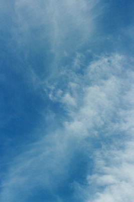 포토 JPG 해외이미지 구름 하늘색 자연 벽지 하늘 바람 날씨 추상 사람없음 야외 공중 파란색 빛 우주 환경 침묵 활발 자유 흰색 물방울 전원 오픈 분위기 매끈함 질감 장면 부드러움 천국 솜털 스카이라인 흐림 내추럴 오존 부족함 해외202008 흩어짐 해외포토 자연요소 컬러 컨셉 무늬 소리 감각 전기에너지 생태계 파일형식