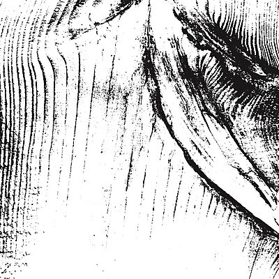 EPS 해외이미지 나무 템플릿 디자인 벽 백그라운드 패턴 일러스트 자연 벽지 탁자 표면 추상 바닥 미술 목재 그래픽 검은색 어둠 고통 수확 흰색 판넬 거친 널 낟알 천 고민 질감 복고 먼지 덮기 내추럴 그런지 수목 엘리먼트 옛날 파케트 해외202008 해외일러스트 식물 감정 컬러 가구 무늬 농업 재료 모션 문화예술 직물 생태계 파일형식 벡터