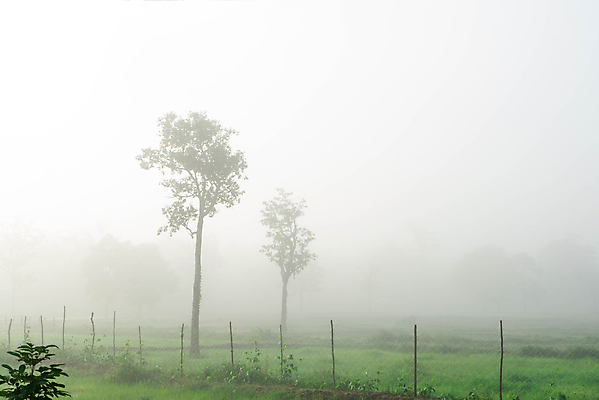 포토 JPG 해외이미지 나무 식물 구름 음식 여행 백그라운드 밭 농업 자연 하늘 밥 산 풍경 초원 사람없음 야외 초록색 물 파란색 농장 환경 놀람 봄 수확 안개 시골 숲 오두막 언덕 유기농 내추럴 해외202008 해외포토 자연요소 웰빙 계절 감정 산업 컬러 날씨 표정 생태계 파일형식