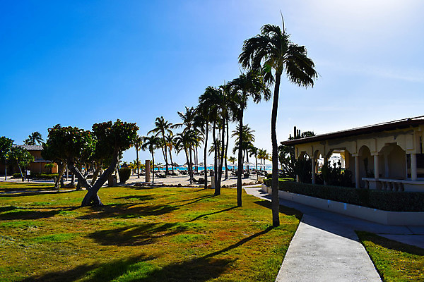 포토 JPG 해외이미지 나무 구름 모래 바다 섬 여행 오렌지 하늘 휴가 휴식 풍경 사람없음 야외 물 파란색 평화 일출 일몰 낭만 신혼여행 그림 휴양지 파라다이스 수평선 해외202008 해외포토 자연요소 식물 컬러 결혼 컨셉 과일 노을 장소 파일형식