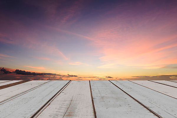 포토 JPG 해외이미지 구름 템플릿 디자인 벽 분홍색 백그라운드 자연 탁자 하늘 표면 선반 사람없음 목재 초록색 파란색 빛 컬러풀 태양 우주 일출 축제 황혼 일몰 새벽 수확 흰색 시골 상품 정상 천 책상 질감 복고 필터 해외202008 해외포토 자연요소 나무 컬러 가구 농업 재료 노을 직물 생태계 파일형식