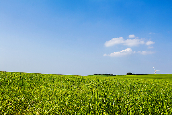 포토 JPG 해외이미지 구름 계절 백그라운드 밭 농업 자연 하늘 날씨 휴식 독일 풍경 초원 사람없음 야외 초록색 여름 파란색 빛 햇빛 맑음 흰색 시골 뜨거움 땅 퍼프 북쪽 내추럴 완벽 수평선 해외202008 해외포토 자연요소 유럽 산업 컬러 컨셉 태양 방향 생태계 파일형식