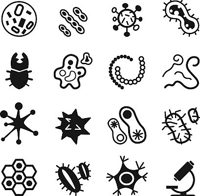 EPS 해외이미지 그릇 디자인 실루엣 곤충 일러스트 픽토그램 약 검은색 웹 고통 죽음 플랫 바이러스 질병 먼지떨이 심볼 생물학 감염 먼지 꽃가루 미생물 튜브 방패 반대 암 박테리아 고립 곰팡이 에이즈 해외202008 해외일러스트 동물 식기 교육 감정 컬러 인터넷 의학 생물 촬영기법 가루 청소도구 파일형식 벡터